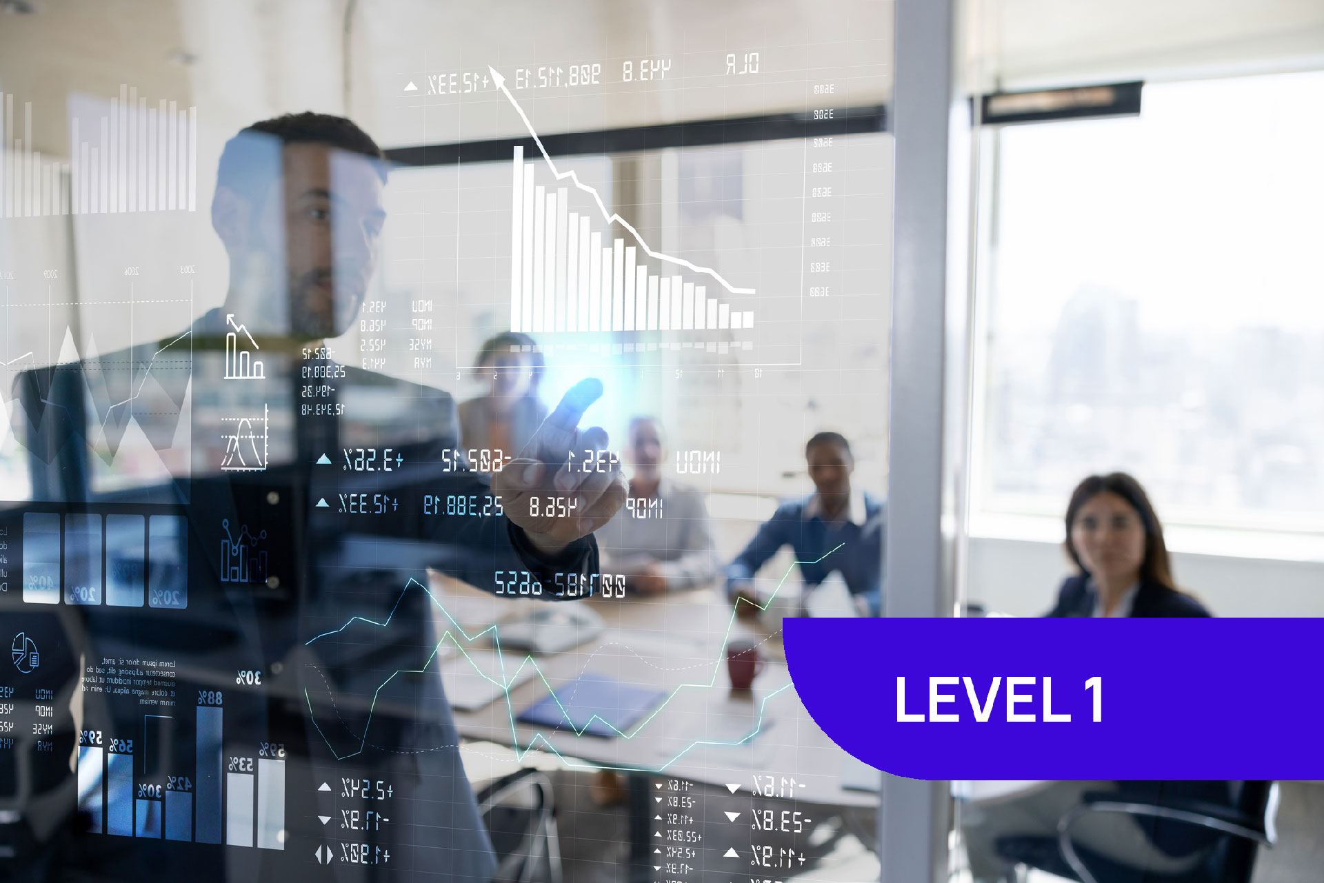 Investor Relations (level 1) - Key Principles and Best Practices in IR Management